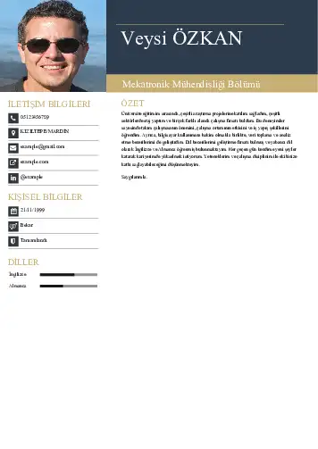 Mekatronik Mühendisliği Cv Örnekleri cv indir